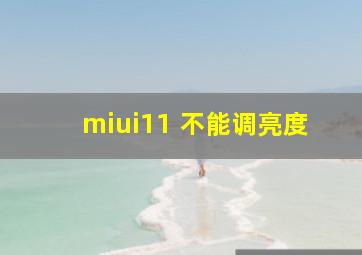 miui11 不能调亮度